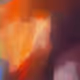 Shifting Vivacity