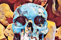 Metamorphic skulls - old