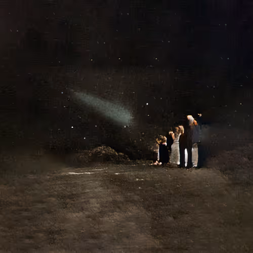 le travail des rêves by aurèce vettier