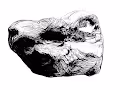 Ether Stone