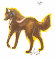 Wolves in my head