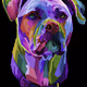 Experienced Dog - old