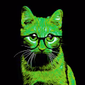 Cats in Glasses