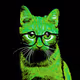 Cats in Glasses