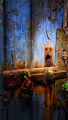 Moss, holes and other nature photography