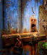 Moss, holes and other nature photography