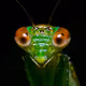 World of Macro V3