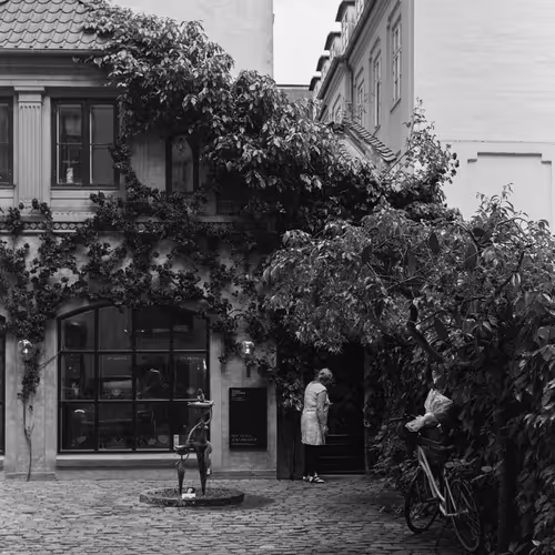 THE WORLD IN BLACK AND WHITE V2