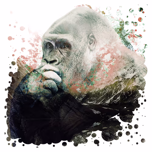 Les animaux en couleurs