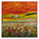 Multicolor by Stefania Pinci