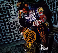 Mamba Bitcoin Whale Champ