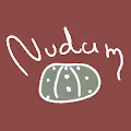 Nudum