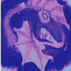 X DRAGONS X