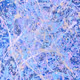 Abstract Expressions by ErickJoseph.eth