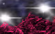 Web Illastration 1536x 700px and mix of proctreate art