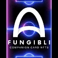 FUNGIBLI TRADING CARD NFTS