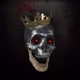 Crypto ReX SkullZ