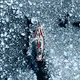 Forbidden Coast of Greenland