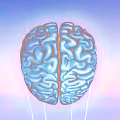BRAIN/MIND