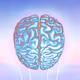 BRAIN/MIND