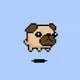 Pet Orbs