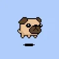 Pet Orbs