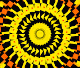 Generative Kaleidosc0pe