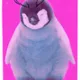 NEW CONCEPT OF ANIMALS