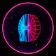 SpaceQuantumVision