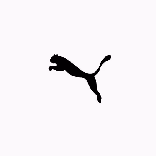 Puma NitroPass