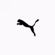 Puma NitroPass