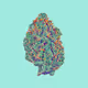 Pixelbudz - old