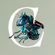 CHRYSALISM: DNA