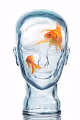 Glass Headshots - old