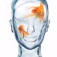 Glass Headshots - old