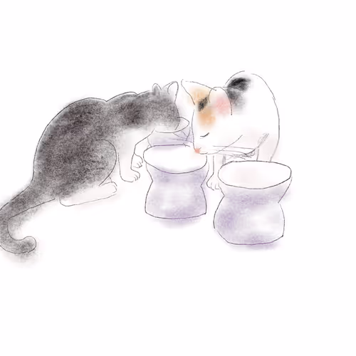 Cat digital drawing artist Sureul