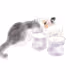 Cat digital drawing artist Sureul