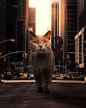 Big Cats In City - old