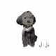 DonnyU JiJi Collection