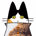 The Poncho Cat Collection