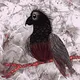 Magic Wing'SZ by Su