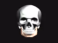 SkullRender - old