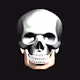 SkullRender - old