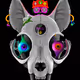 NFT Amulet's