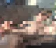N@ked Pixels