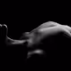 DISTURBIA BODYWORKS