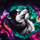 Space Husky