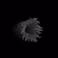 inthedeep