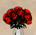 The Space Of Flowers