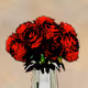 The Space Of Flowers